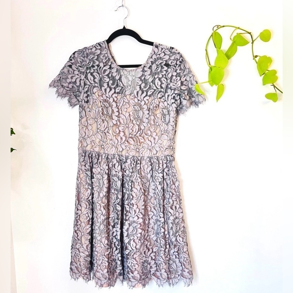 Lavender Grey Lace Fit & Flare Dress | Eliza J | Size 10